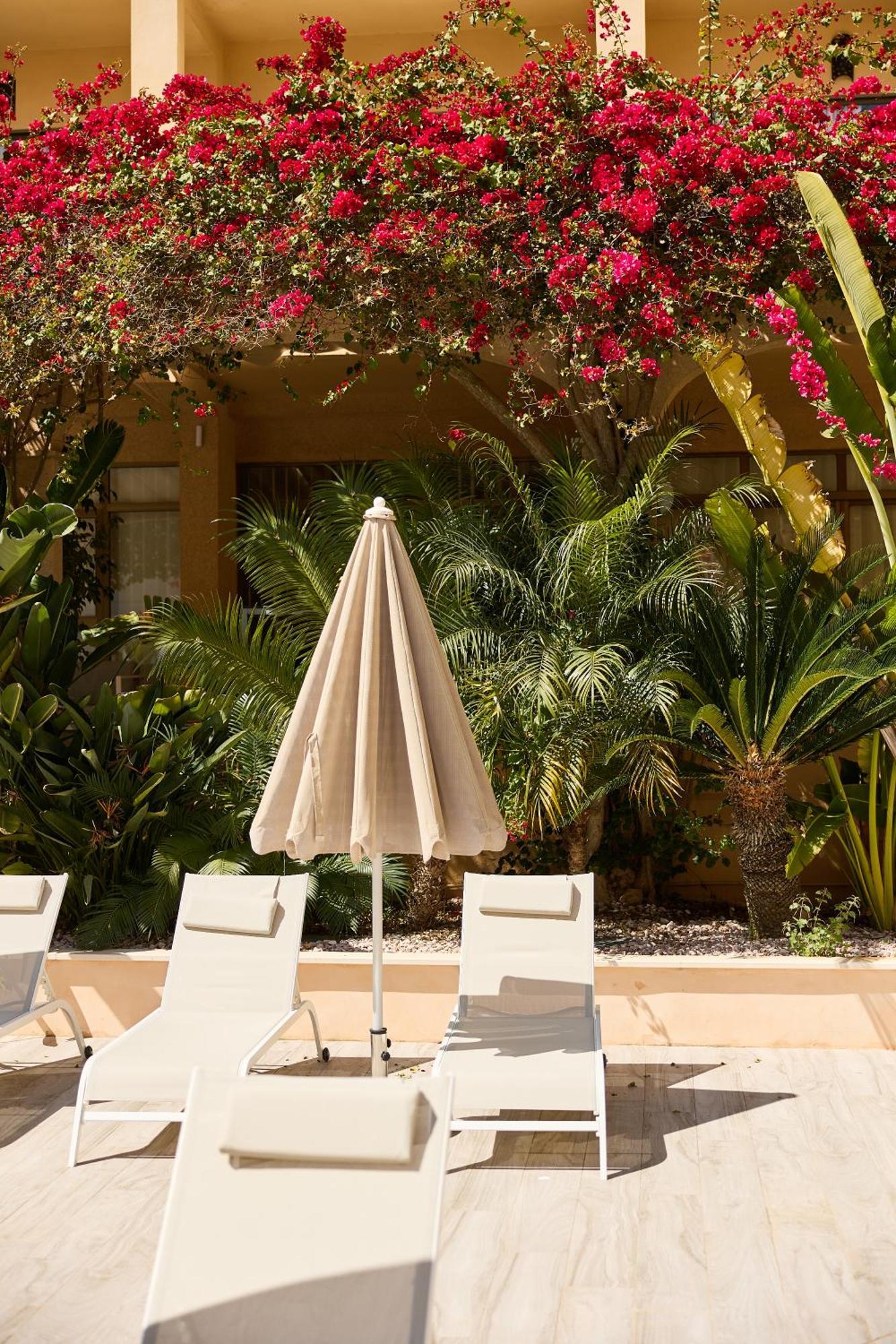 Appartement Isla Del Sol *